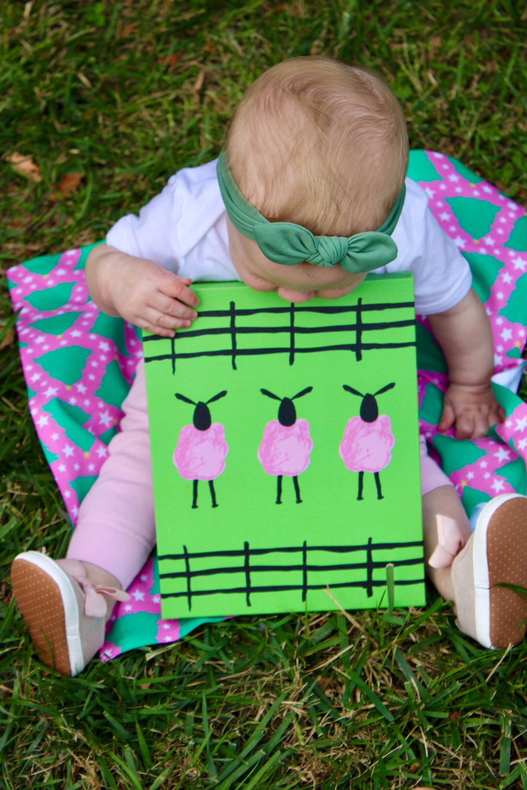 Sheep Matte Canvas, Stretched, 1.25"